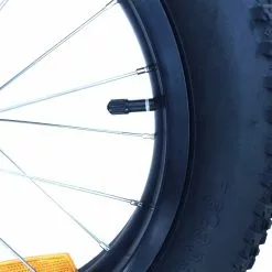 Burley Roue Rayonnées Avec Pneus 16'' Fat Bike Pour Remorque Vélo -Promos vélo Magasin roue rayonnees avec pneus 16 fat bike pour remorque velo 2